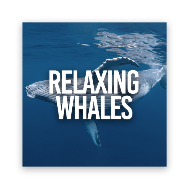 Relaxing Whales cover art