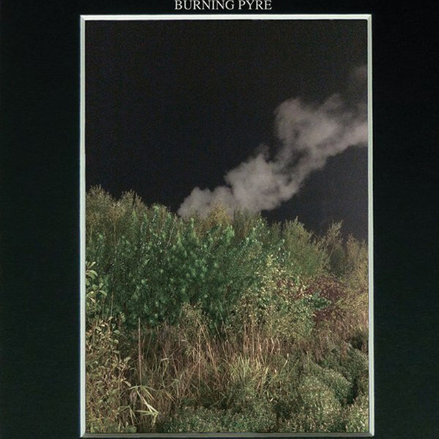 Insipid Dalliance cover art