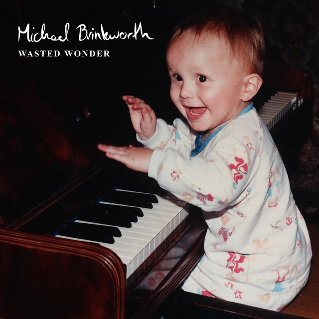 Wasted Wonder cover