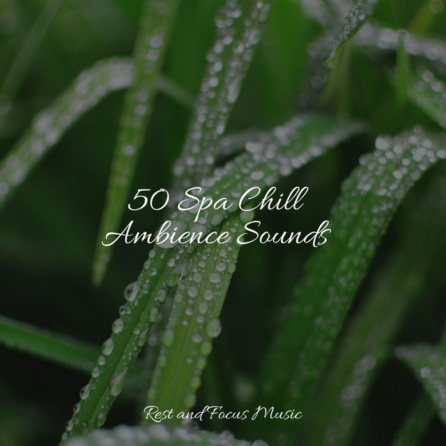 50 Spa Chill Ambience Sounds - Album by Easy Sleep Music | Spotify