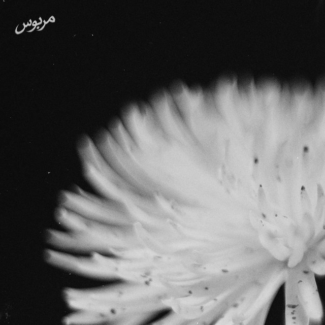 MARBUS album image