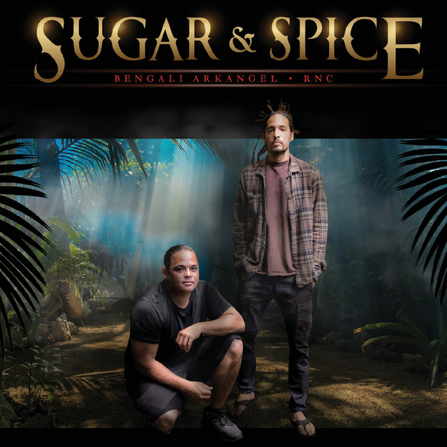 Sugar and Spice cover art
