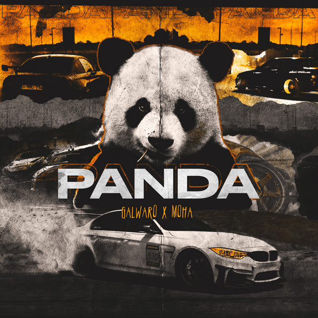 Panda cover art