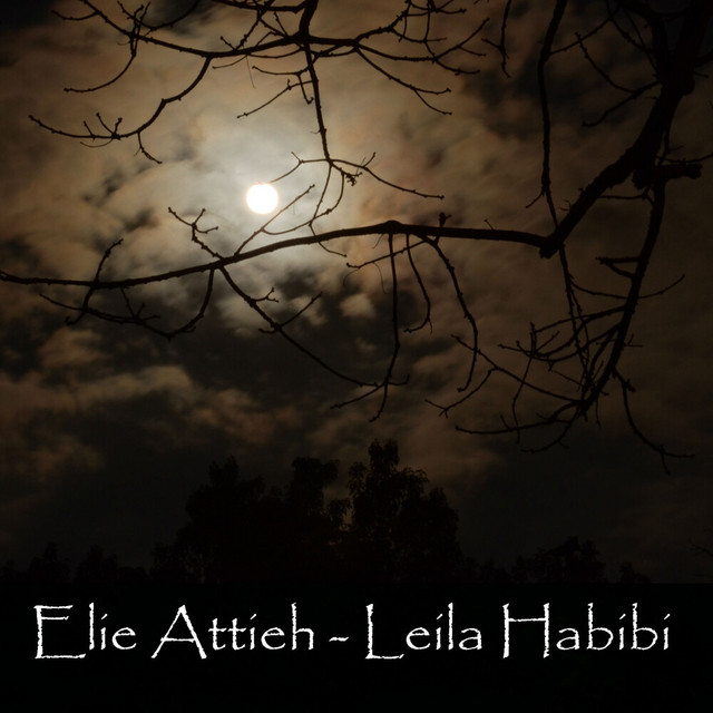 Leila habibi