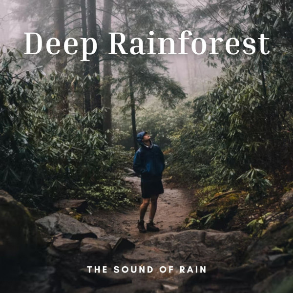 The Sound of Rain: Deep Rainforest - Album by Meditation Rain Sounds ...