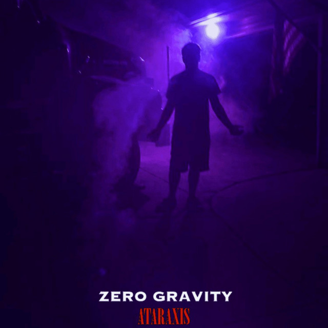 Zero Gravity cover art