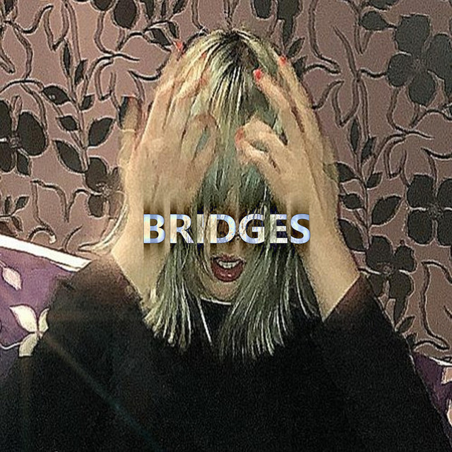 Bridges cover art