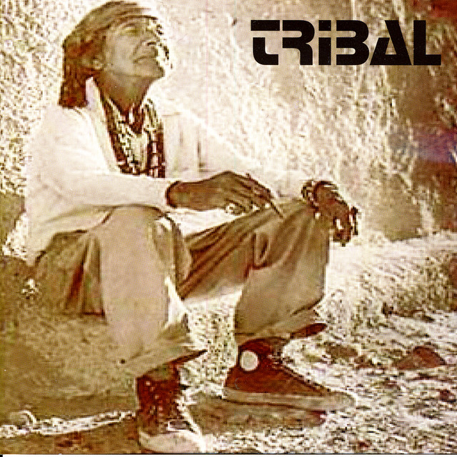 Tribal-Live in SA cover art
