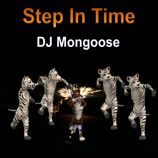 DJ Mongoose Photo