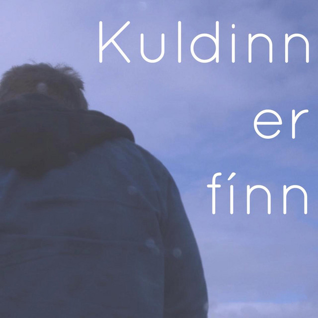 Kuldinn Er Fínn cover art
