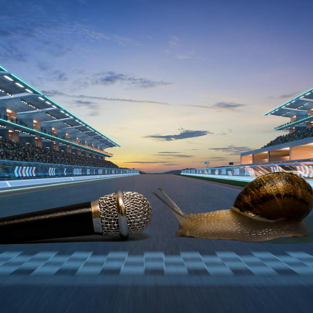 Snail Race cover art