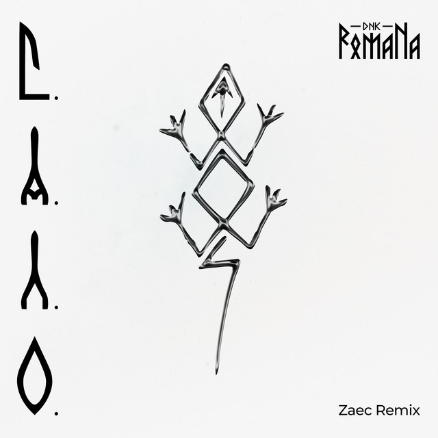 Обкладинка: С.А.Л.О - Zaec Remix — DNK RomaNa