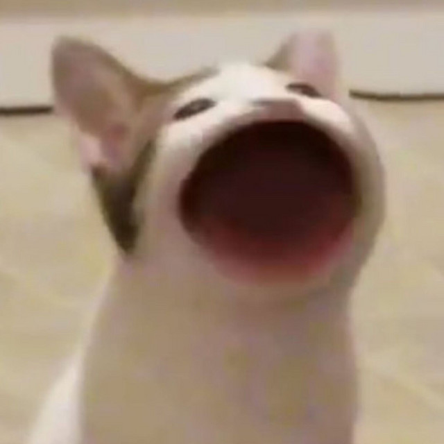 Coconut Mall - Sped up Nightcore Mario Kart Wii Bitcrushed Old Speaker Lofi Mix