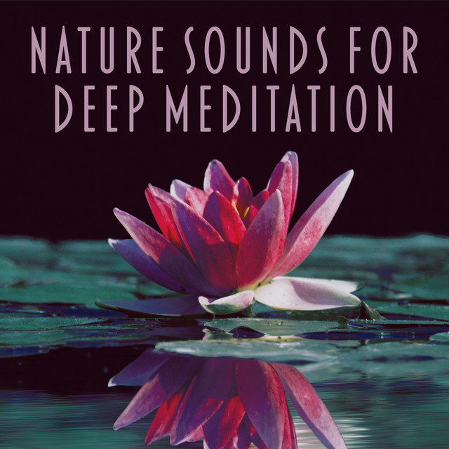 Nature Sounds for Deep Meditation – Training Yoga, Mantra, Zen Music ...