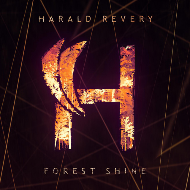 Forest Shine cover