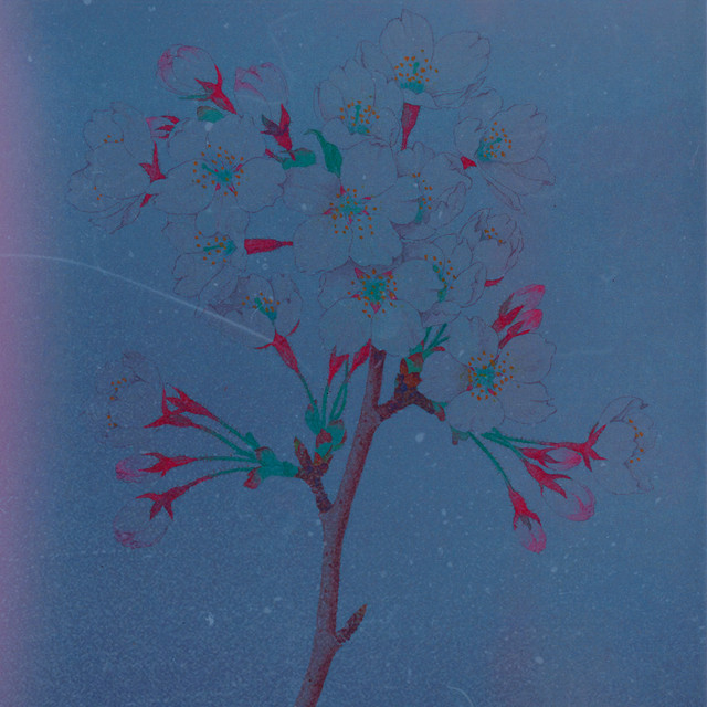 indigo cover art