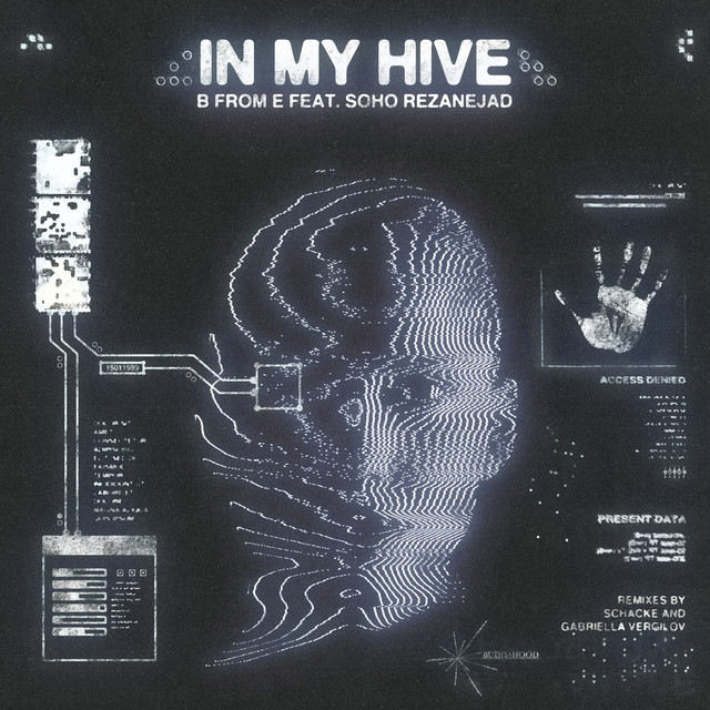 In My Hive - Schacke's Hivemind Mix cover art