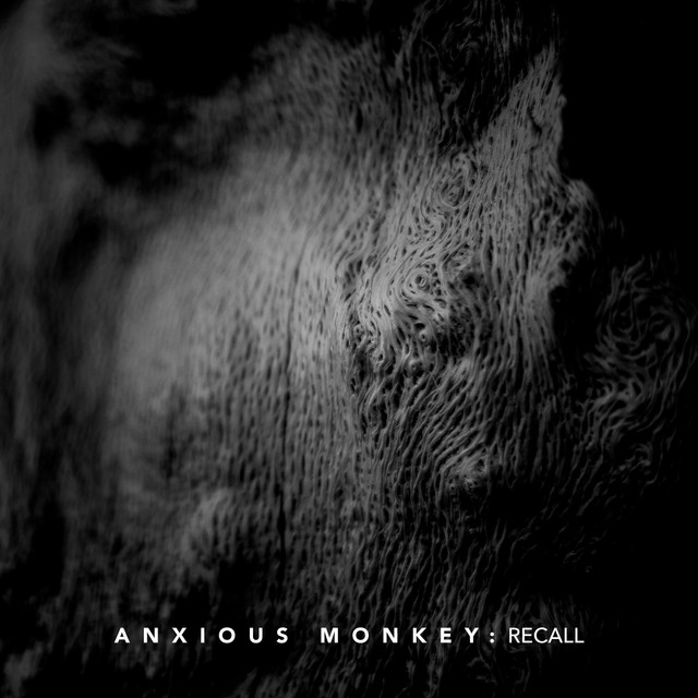 Recall cover art