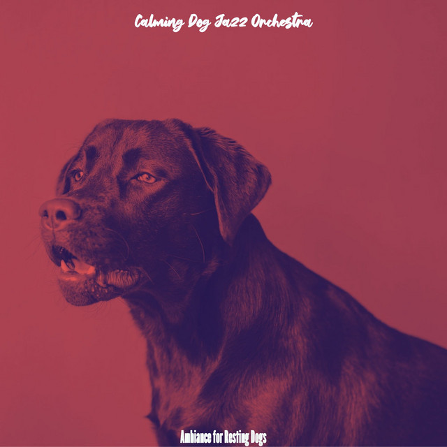 Ambiance for Resting Dogs cover art