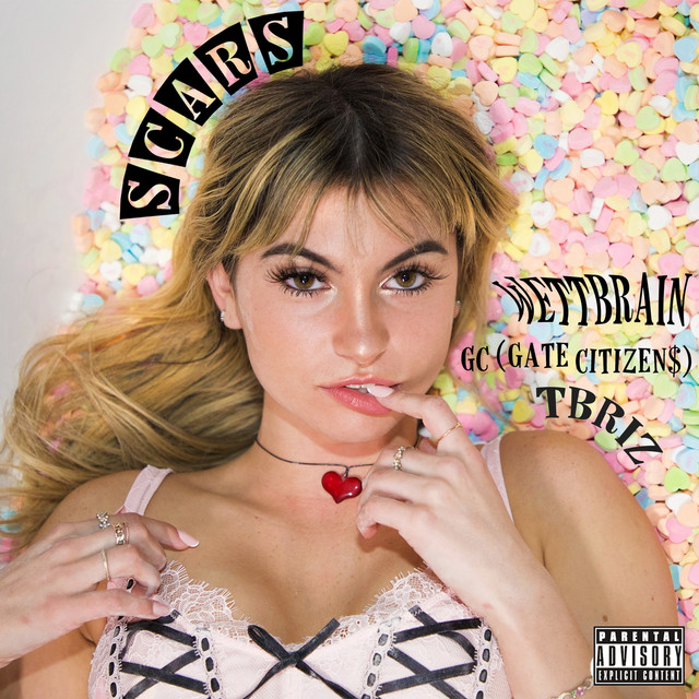 Scars cover art