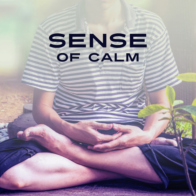 Sense of Calm – Peaceful Nature Sounds, for Mindfulness Practice, Yoga ...