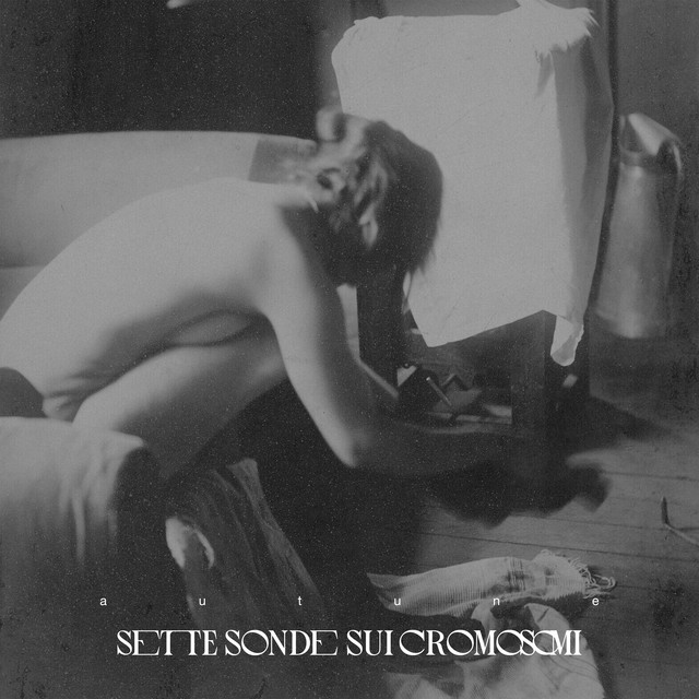 SETTE SONDE SUI CROMOSOMI cover art