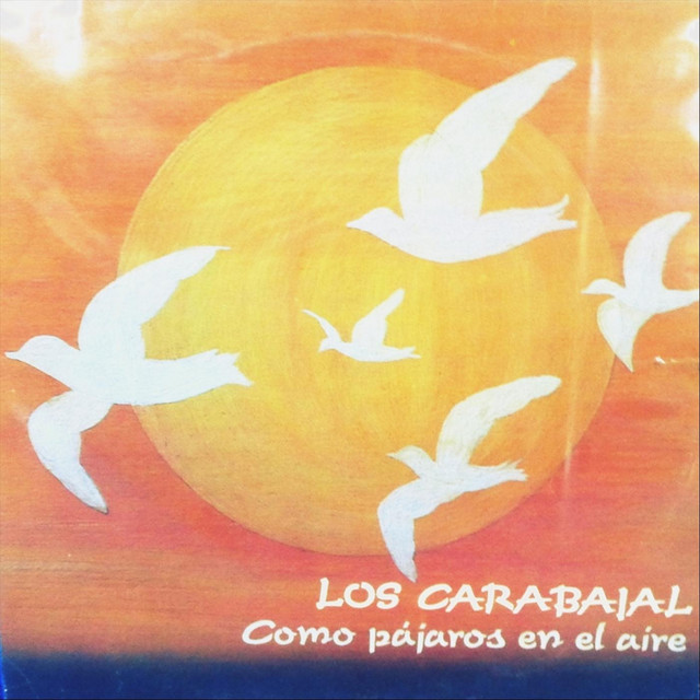 Como Pajaros en el Aire cover art