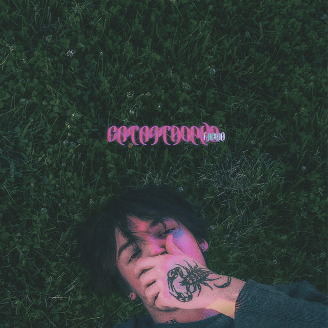 catastrophe cover art