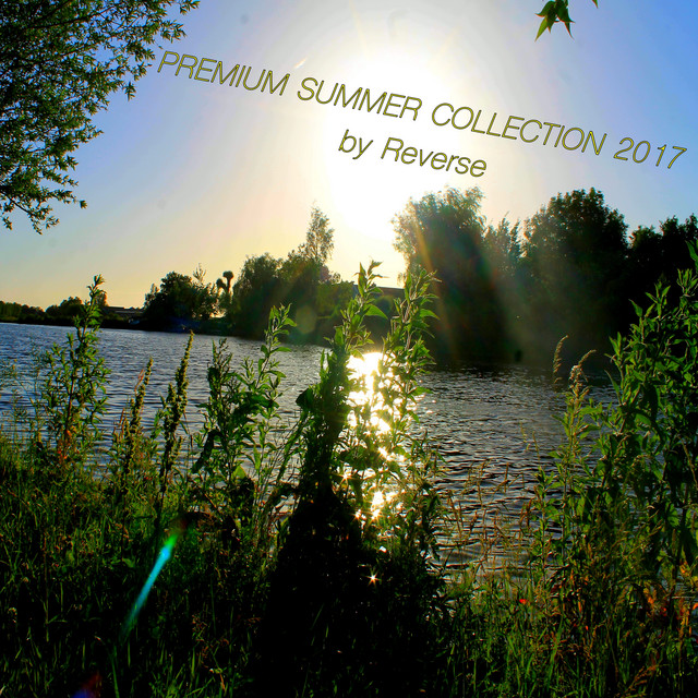 Premium Summer Collection 2017 - Compilation by Various Artists | Spotify