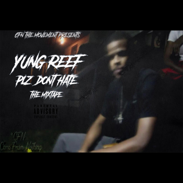 Plz Don't Hate cover art