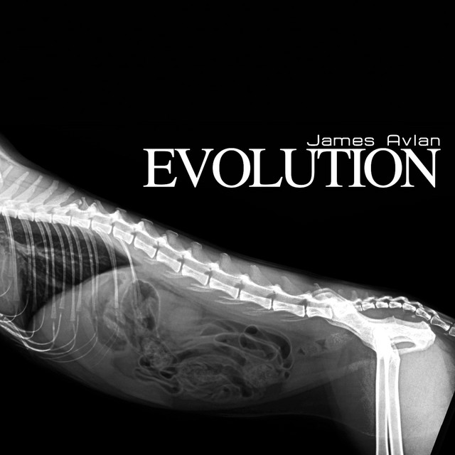Evolution cover art