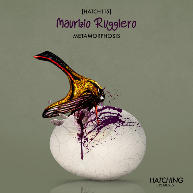 Metamorphosis cover art