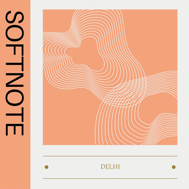 Delhi cover art
