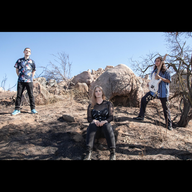 Devastated cover art