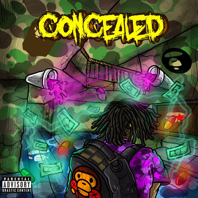 CONCEALED cover