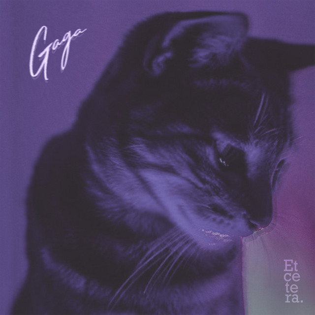 Gaga cover art