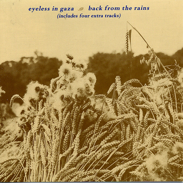 Back From The Rains cover art