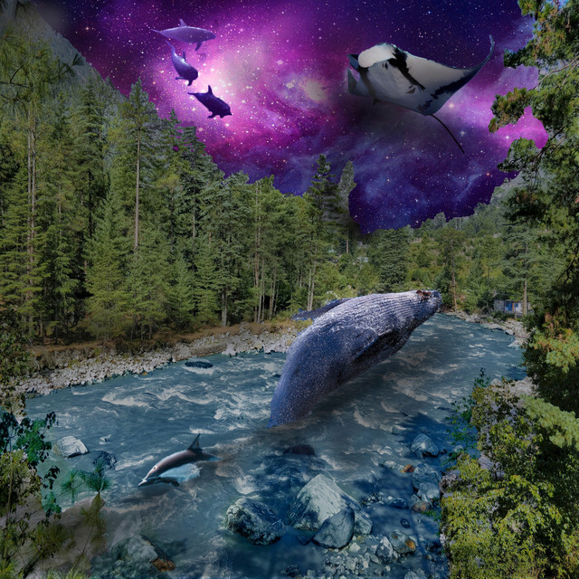 Dreams cover art