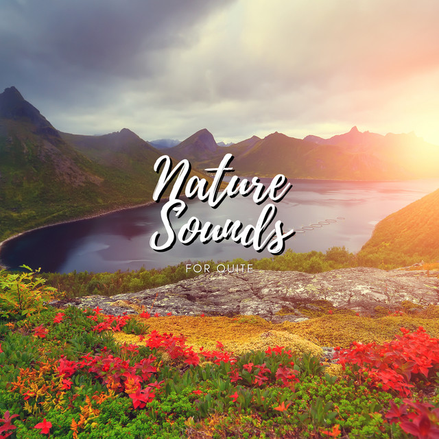 Nature Sounds For Quite - EP by Cricket Sounds | Spotify