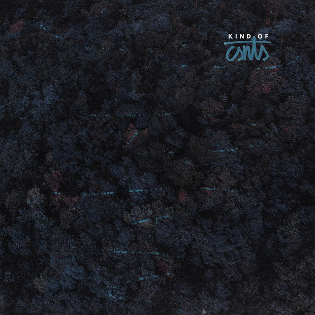 kind of csnts cover art