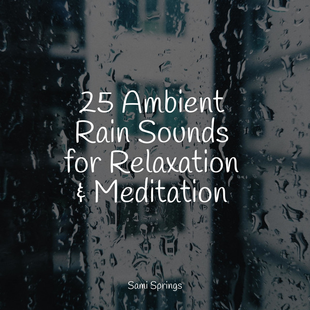 25 Ambient Rain Sounds for Relaxation & Meditation - Album by Sleep ...