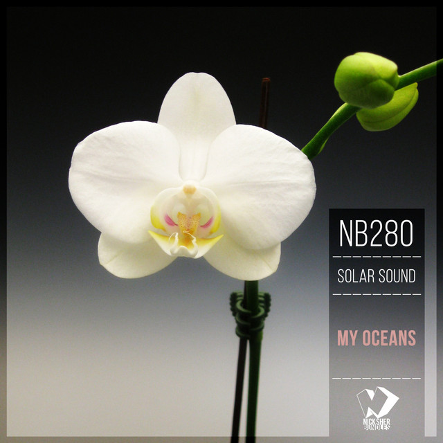 My Oceans - Original Mix cover art