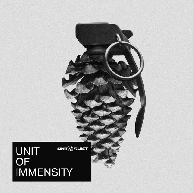 Unit of Immensity