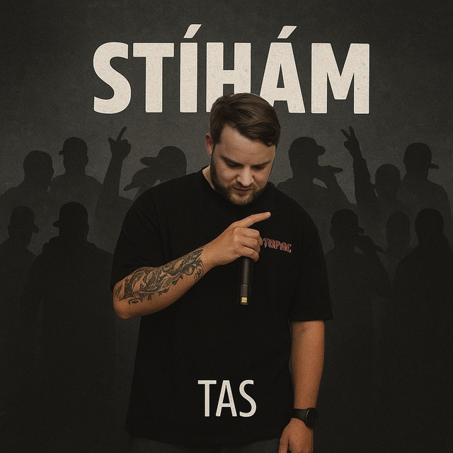Stíhám cover art