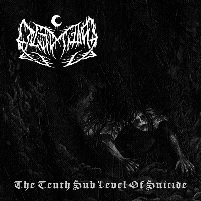 The Tenth Sublevel of Suicide cover art