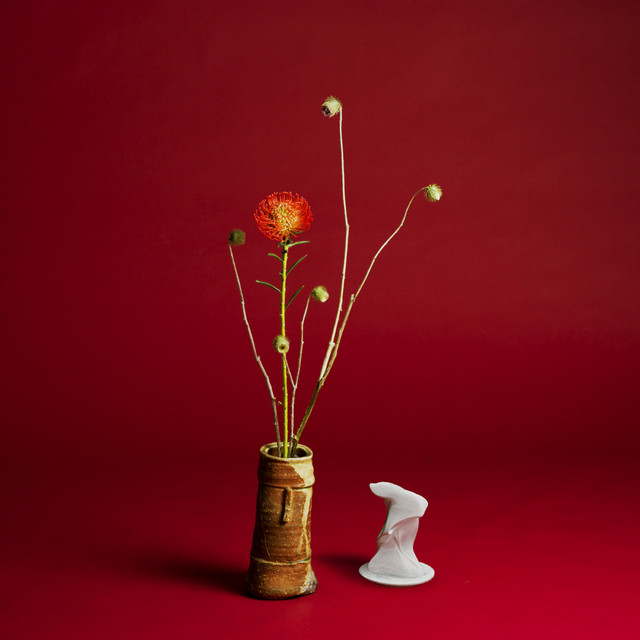 Collapse cover art