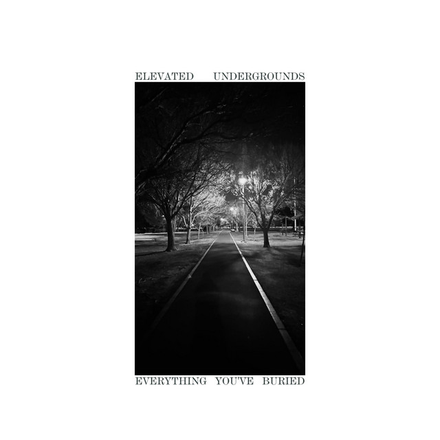 Everything You've Buried cover art