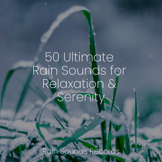 50 Ultimate Rain Sounds for Relaxation & Serenity - Album by Rain Sound ...