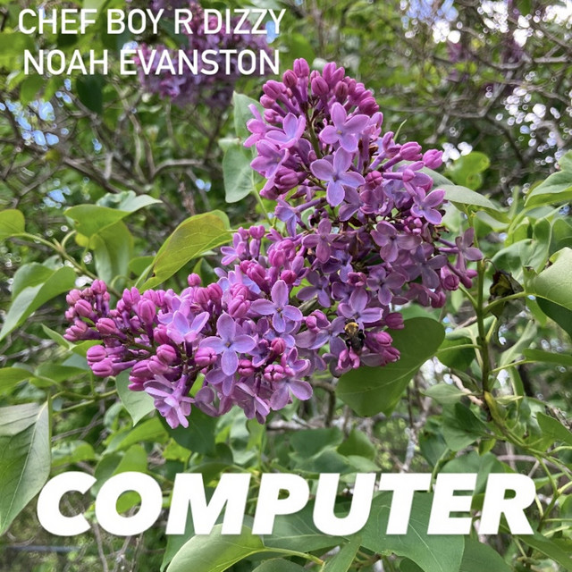 Computer cover