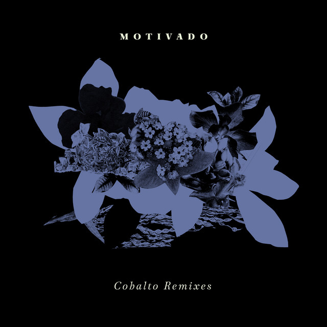 Cobalto Remixes cover art